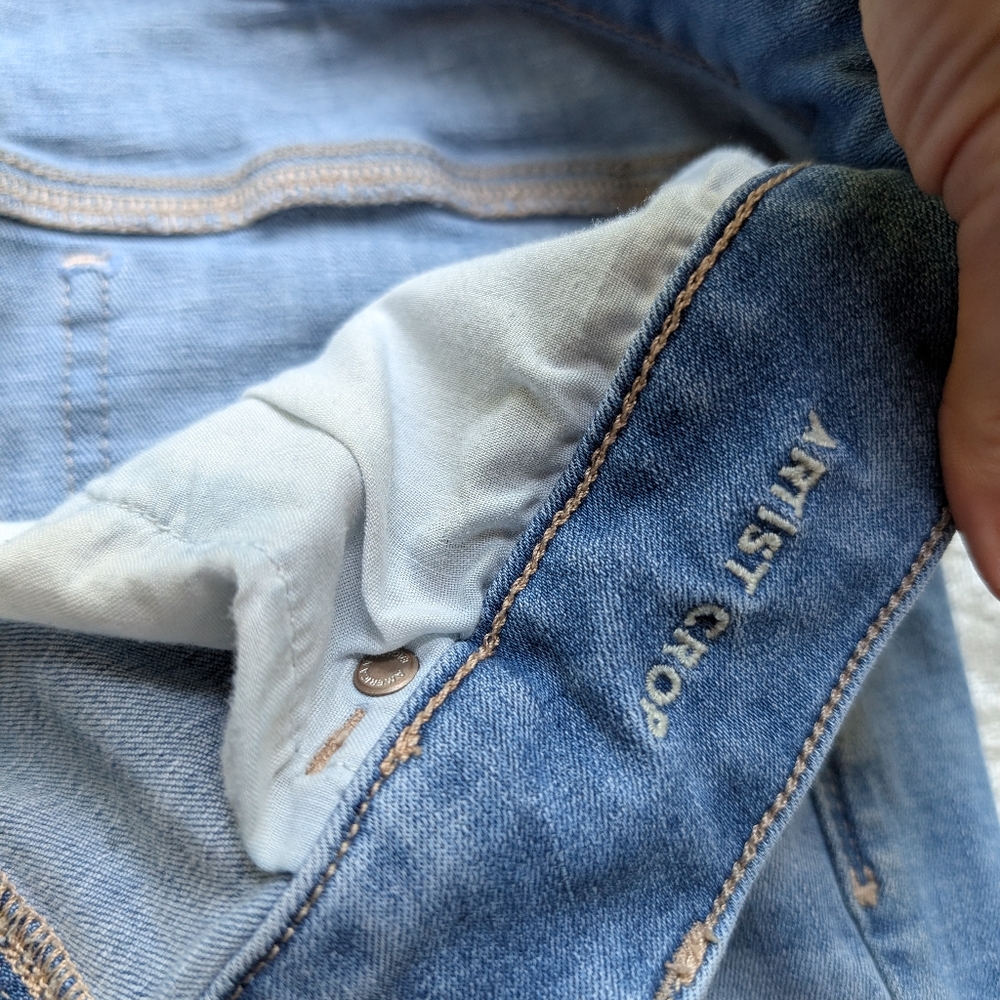 American Eagle Artist Crop 14 - Picture 6 of 14